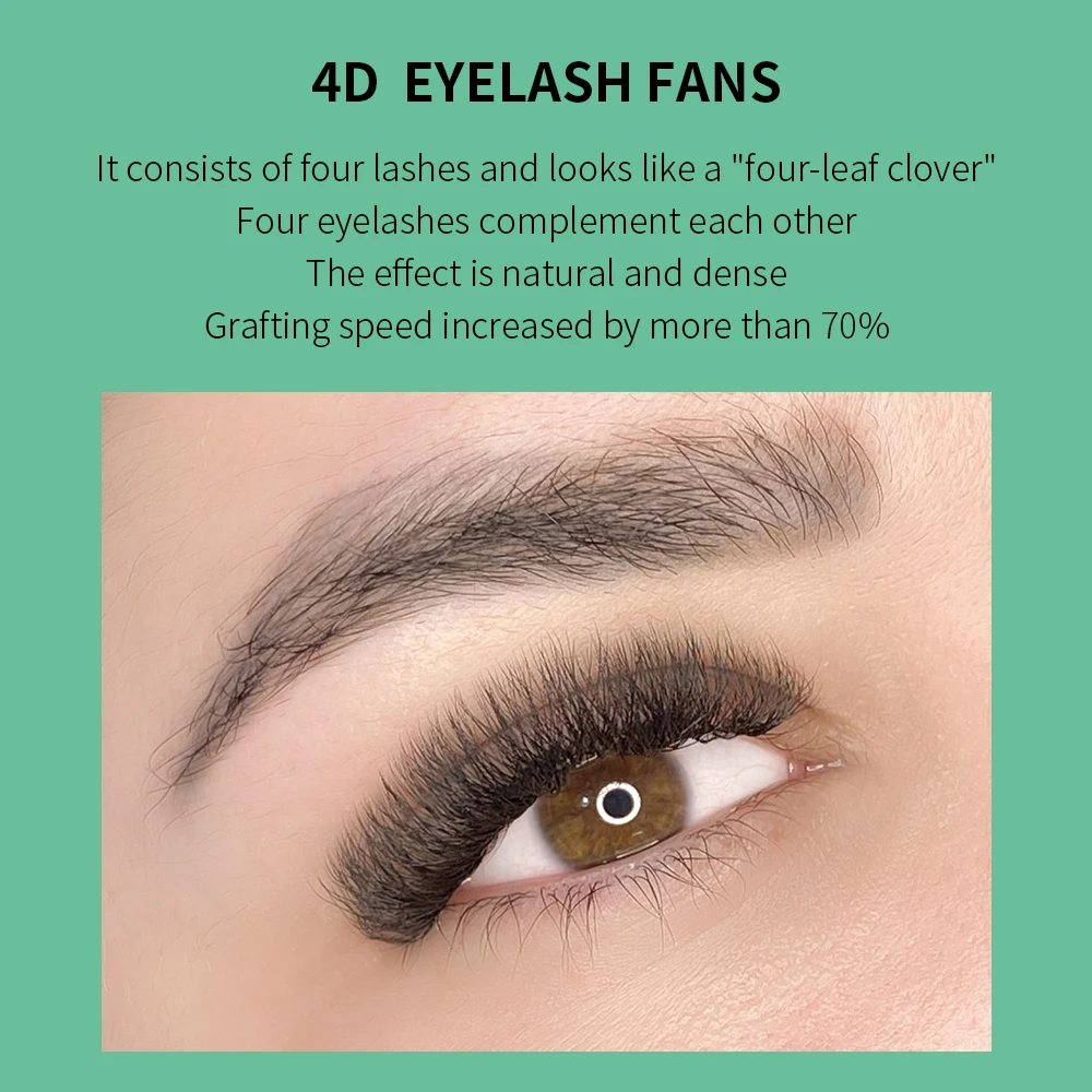 Glam4d 4D W şekli kirpik uzant - Eyelash Extension Volume Styles incelemesi ve fiyatı